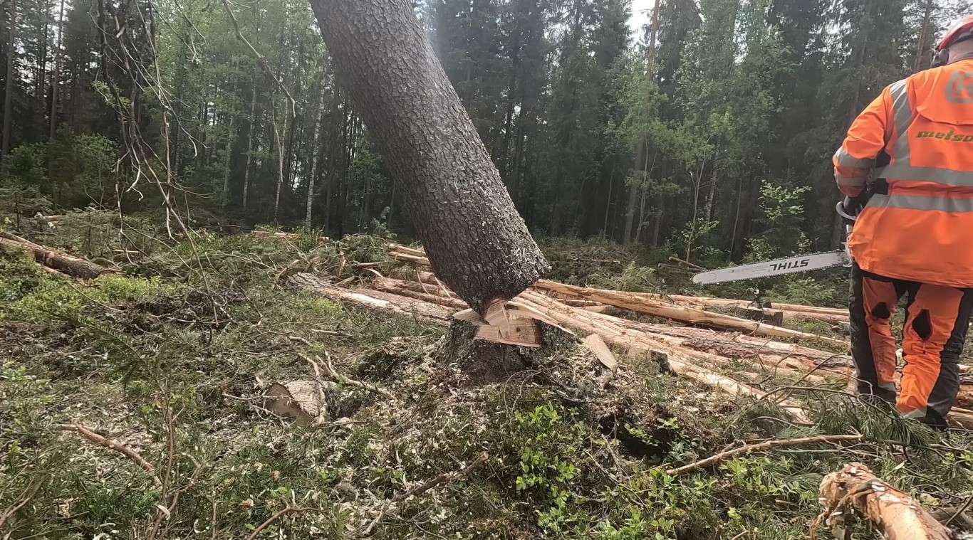 Professional land clearing services for construction sites